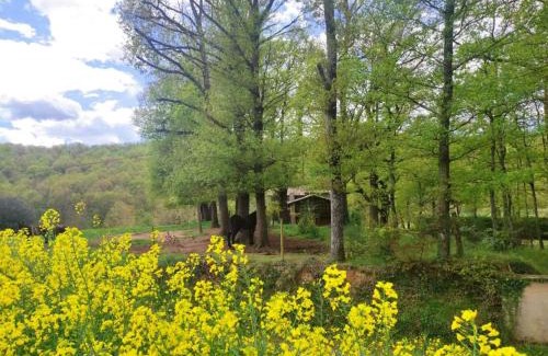 La Vall de Bianya Casa | Casa Can Boix