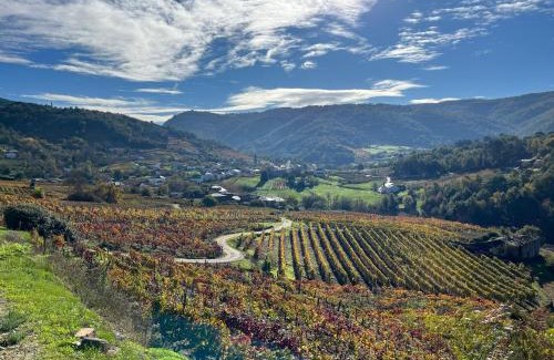 A Teixeira Casa | Casa Catalina - Ribeira Sacra