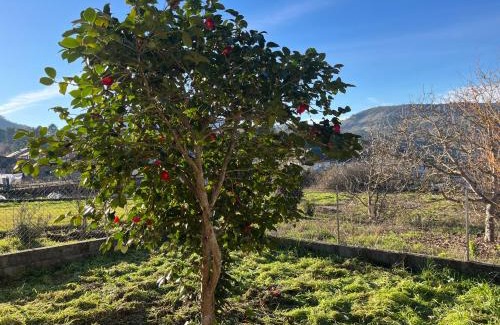 A Teixeira Casa | Casa Catalina - Ribeira Sacra