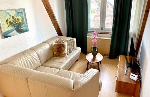 Wetzikon Apartamento | Casa Cecilia