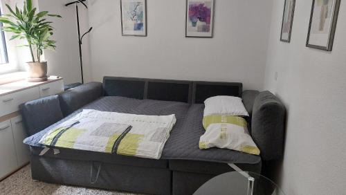 Minusio Casa | Casa celeste, stanza in appartamento condiviso
