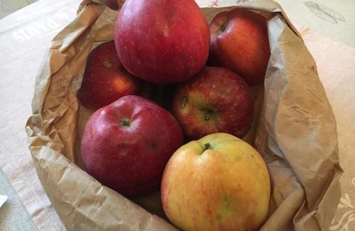 Bergamo Cama Y Desayuno | Casa Chiara B&B