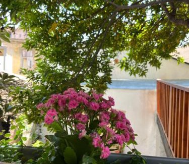 Mirandela Casa | Casa Cidade Jardim