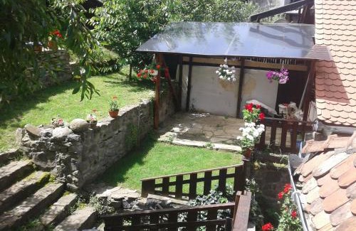Sighisoara Apartamento | Casa Cojo