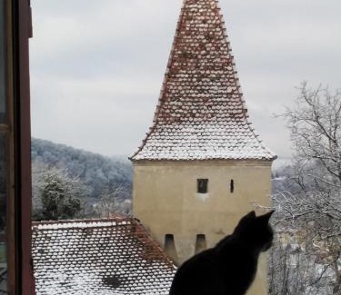 Sighisoara Apartamento | Casa Cojo