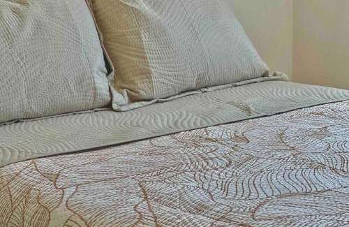 Las Jarretaderas Apartamento | CASA con ALBERCA 8min A LA PLAYA AC y Pet friendly
