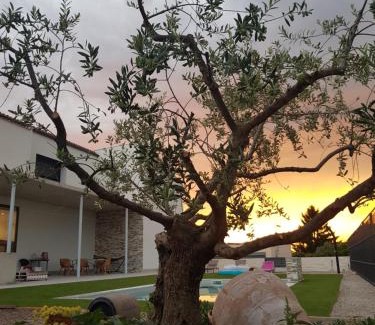 Puiggros Casa | Casa con piscina y jardin privado OASIS DE DOLORS