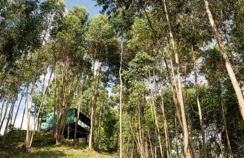 Flores da Cunha Casa | Casa Container FIGO em meio a natureza na Serra Gaúcha
