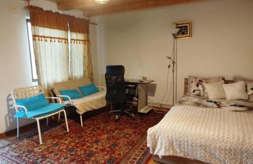 Bacau Chalet De Esquí | Casa cu amintiri
