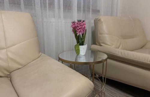 Alba Iulia Casa | Casa cu brad