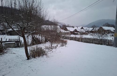 Balsa Casa | Casa cu levănțică