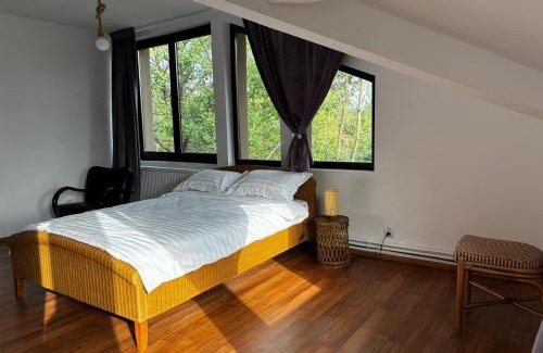 Breaza de Jos Casa | Casa cu pădure