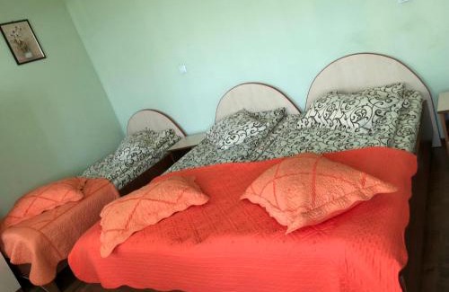 Maracineni Casa | Casa cu pauni