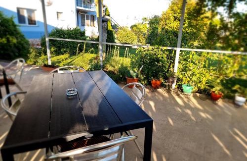 Plopul Casa | Casa cu Trandafiri Murighiol
