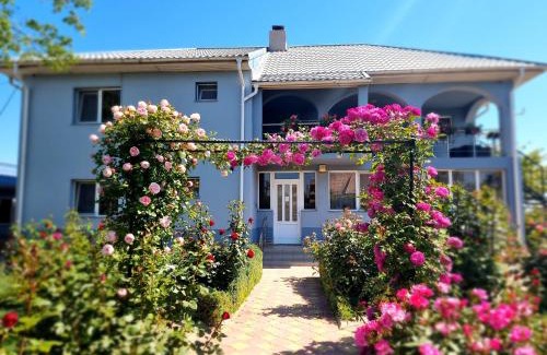 Plopul Casa | Casa cu Trandafiri Murighiol