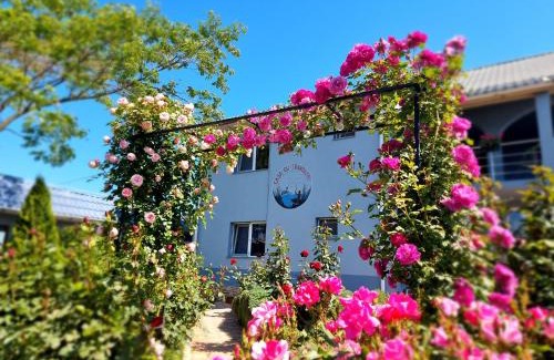 Plopul Casa | Casa cu Trandafiri Murighiol