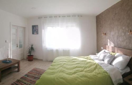 Baia Mare Villa | Casa cu trandafiri