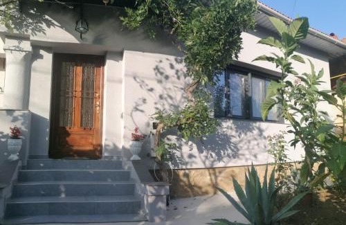 Baia Mare Villa | Casa cu trandafiri