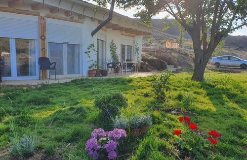 Alcudia de Guadix Apartamento | Casa-cueva ecologia arte jardín y hamman