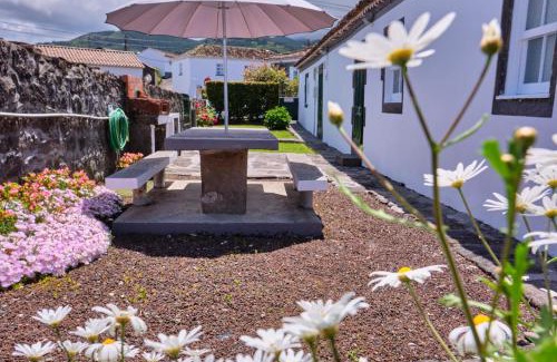 Nordeste Casa | Casa D'Alfaias