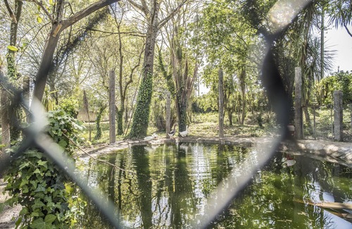 Portela Casa | Casa dos Limoeiros