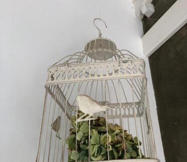 Santo Amaro Casa | Casa da Arquinha