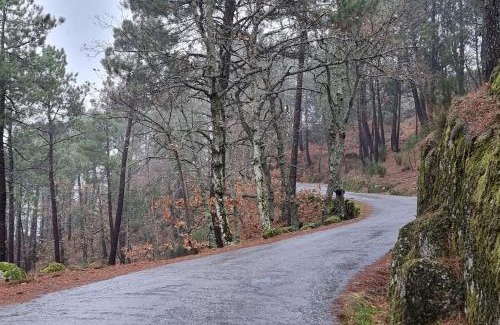 Pero Viseu Casa | Casa da Avó Ana - Peroviseu - Serra da Gardunha - Serra da Estrela
