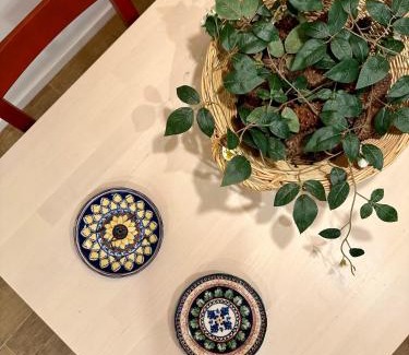 Arraiolos Casa | Casa da Boavista