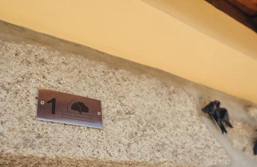 Macieira de Cambra Casa | Casa da Carvalha
