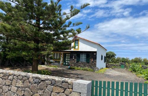 Madalena Casa | Casa da Costa