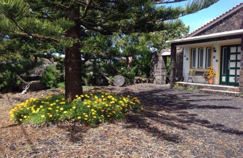 Madalena Casa | Casa da Costa