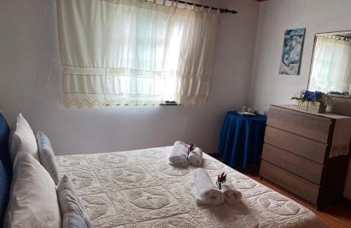 Madalena Casa | Casa da Costa