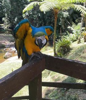 Teresopolis Casa | Casa da Dorinha