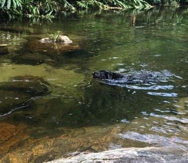 Teresopolis Casa | Casa da Dorinha