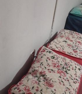 Jardim das Hortensias Casa | Casa da Família Carvalho Teixeira