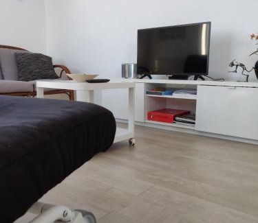 Sao Jacinto Apartamento | Casa da Ilha dos Ovos