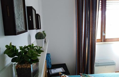 Tomar Casa | Casa da Lameira