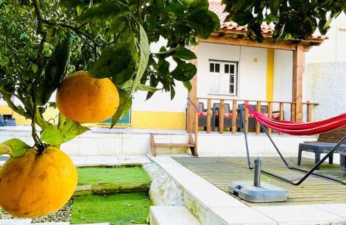 Bombarral Casa | Casa da Laranjeira, perto de Obidos, Budha Eden, Dinossauros parque