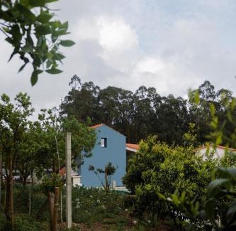 Troviscal Cama Y Desayuno | Casa da Milheira - Agroturismo