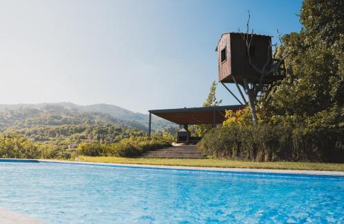 Santa Cruz do Douro Casa | Casa da Mouta - Douro Valley