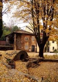 Macedo de Cavaleiros Casa | Casa da Sofia