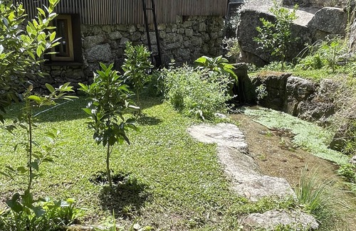 Baiao Cabaña | Casa da Tintim