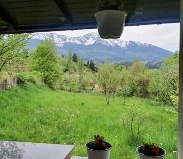 Borsa Villa | Casa Danci Centru