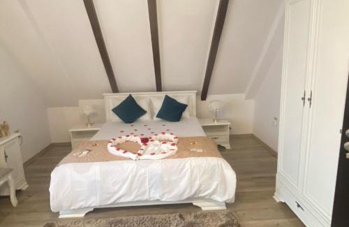 Bran Casa | Casa Daniel