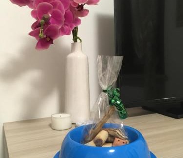 Sona Casa | Casa Dany