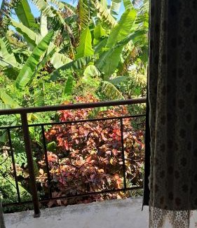 Eldorado Casa | Casa Darwin