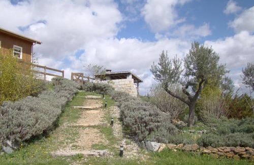 Bemposta Casa | Casa das Arribas - Rio Douro aos seus pés