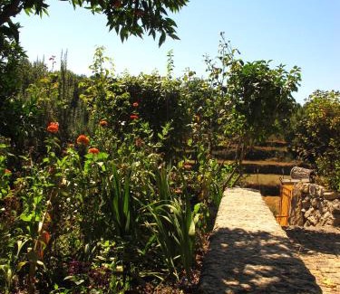 Arcos de Valdevez Casa | Casa das Lapas