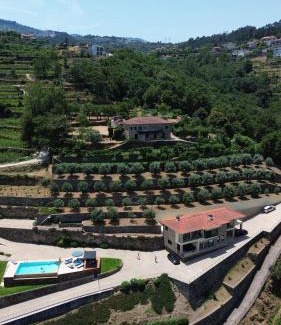 Cinfaes Casa | Casa das Oliveiras, o Douro no seu esplendor!