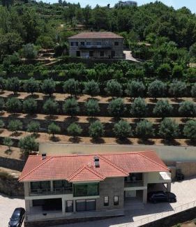 Cinfaes Casa | Casa das Oliveiras, o Douro no seu esplendor!